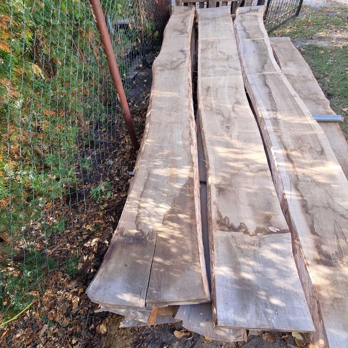 bale dębowe i jesionowe - odziomkowe 50 i 48 suche