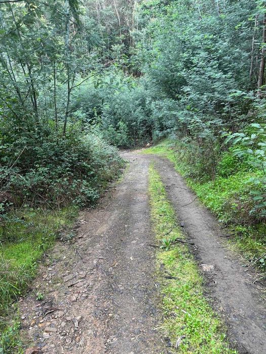 Terreno para venda em Porto da Carvalha,  Penacova