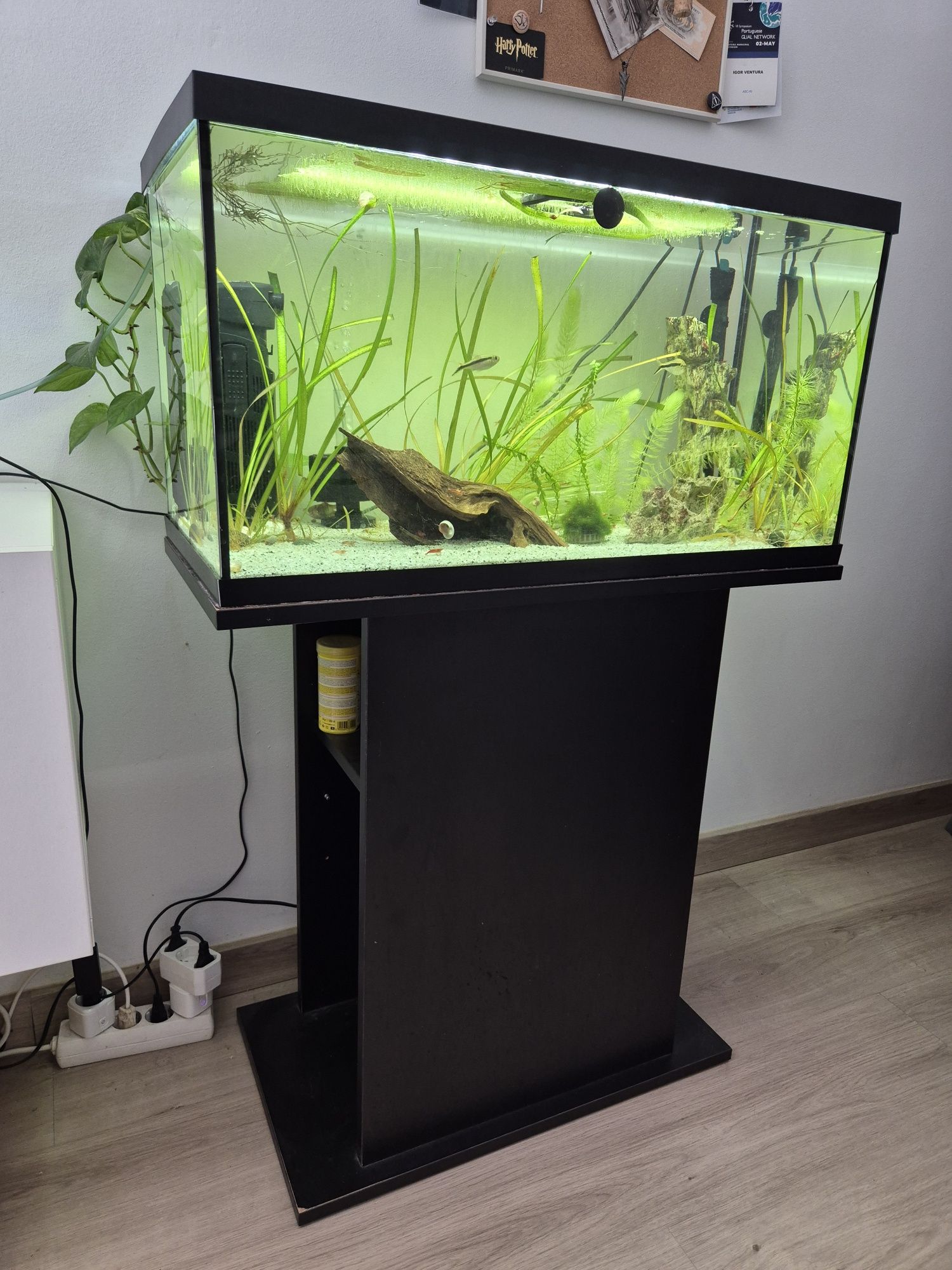 Aquário 100l com luz e termostato