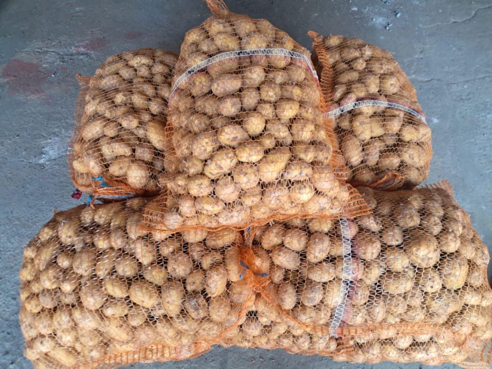 Młode ziemniaki z własnej uprawy 20 zl /15kg