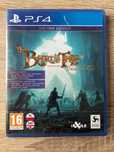 The Bard's Tale IV - PS4 - inXile entertainment - PL - NOWA, FOLIA