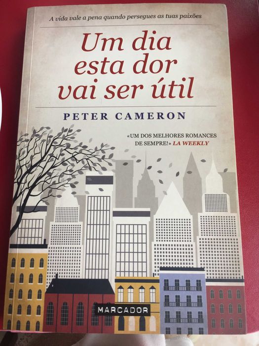 Um Dia Esta Dor Vai Ser Útil
de Peter Cameron
