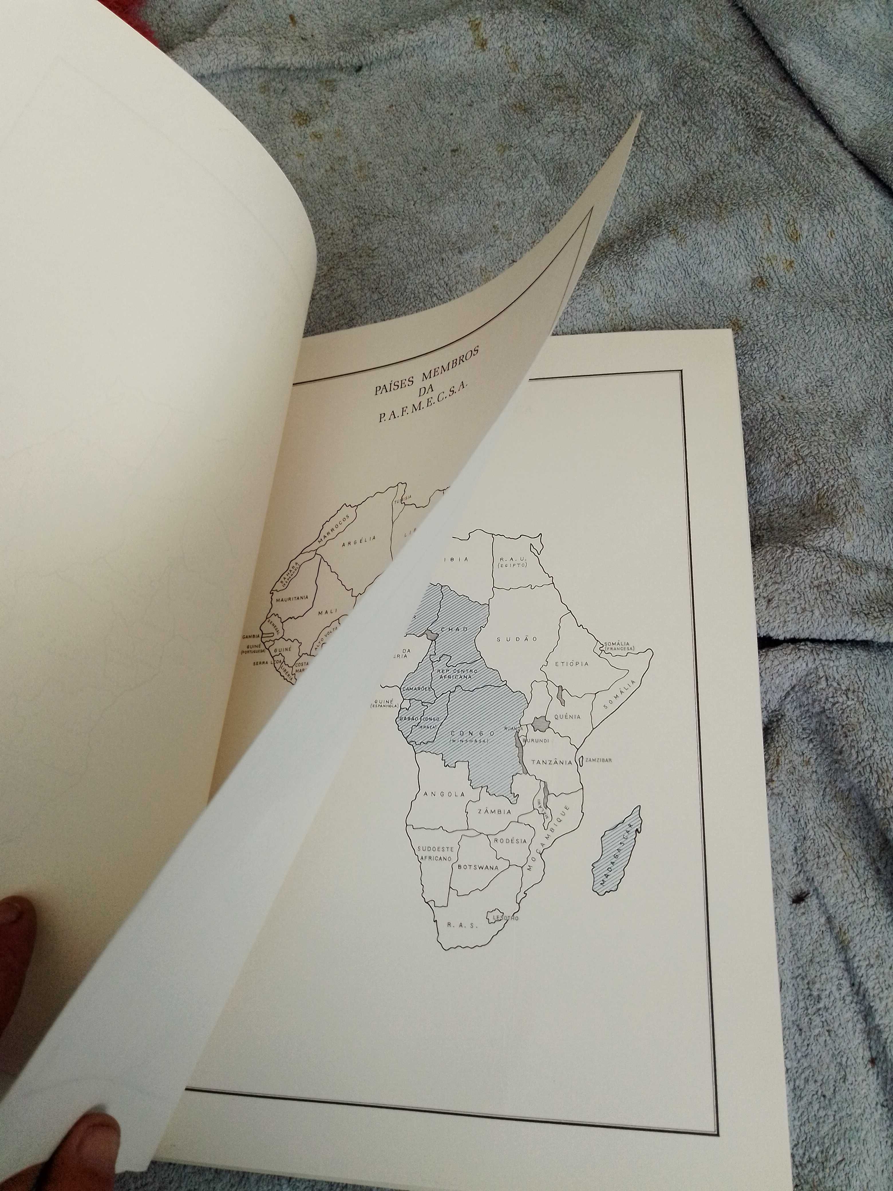 mapas e cartas de moçambique africa