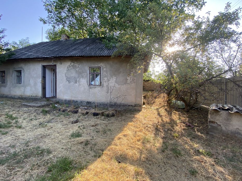 Будинок в Грушівці з великою ділянкою