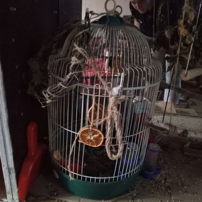 Продам клетку для попугаев с жителями.