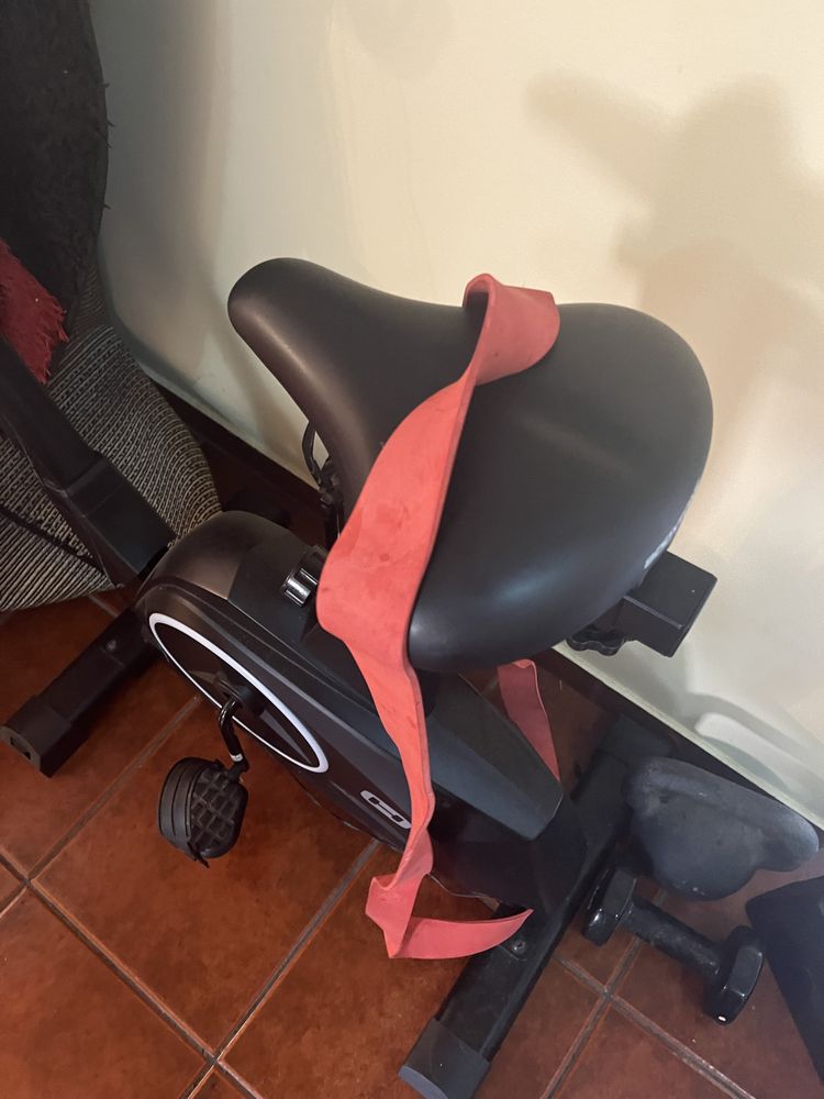 Vendo bicicleta + alteres