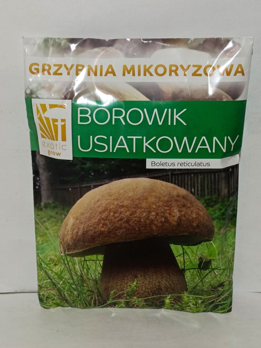 Grzybnia mikoryzowa Borowik usiatkowany