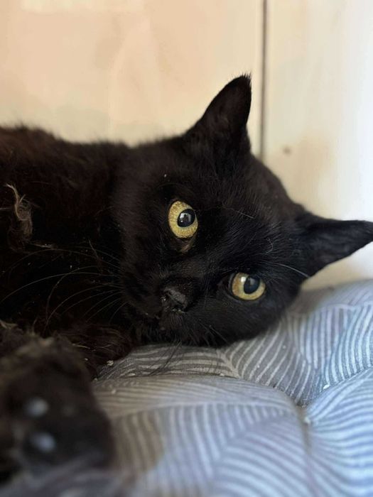 Piękna Zendaya czeka na dom!