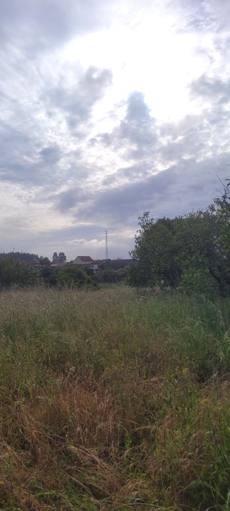 Manutenção de jardins/Limpeza de terrenos