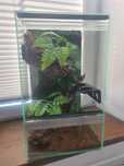 Terrarium dla gekona
