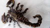 Broszka skorpion