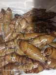 Topinambur gotowany 1 kg