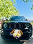 Jeep Renegade 2017