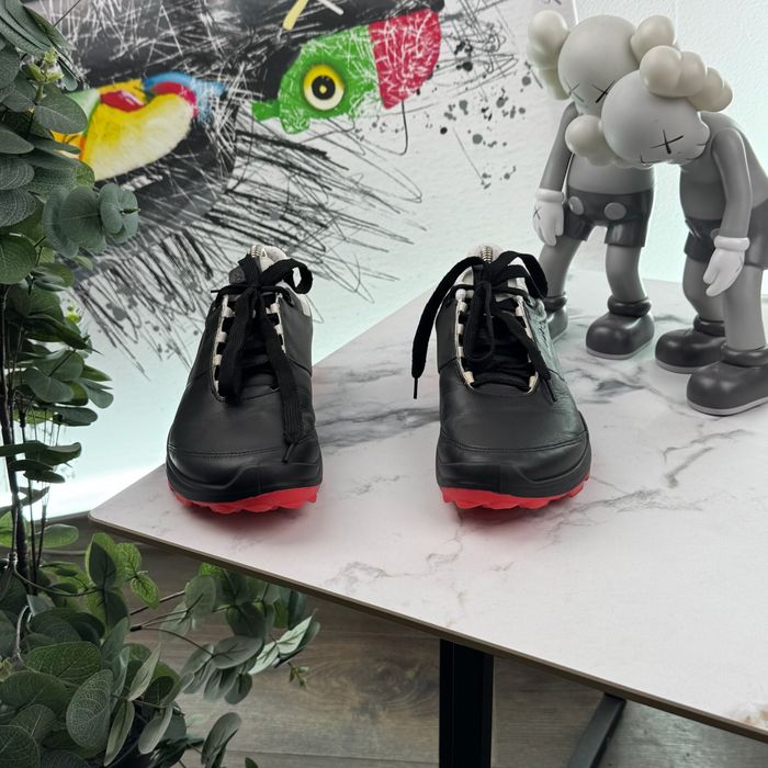 Кросівки шкіряні Ecco Biom Waterproof 40 розмір E1313