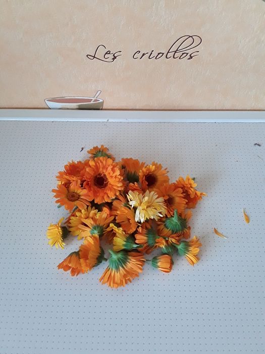 Продам Чаи травяные. Ассорти. Отличный подарок для друзей и родных