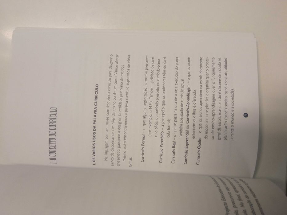 Projecto Educativo, de Angelina Carvalho e Fernando Diogo