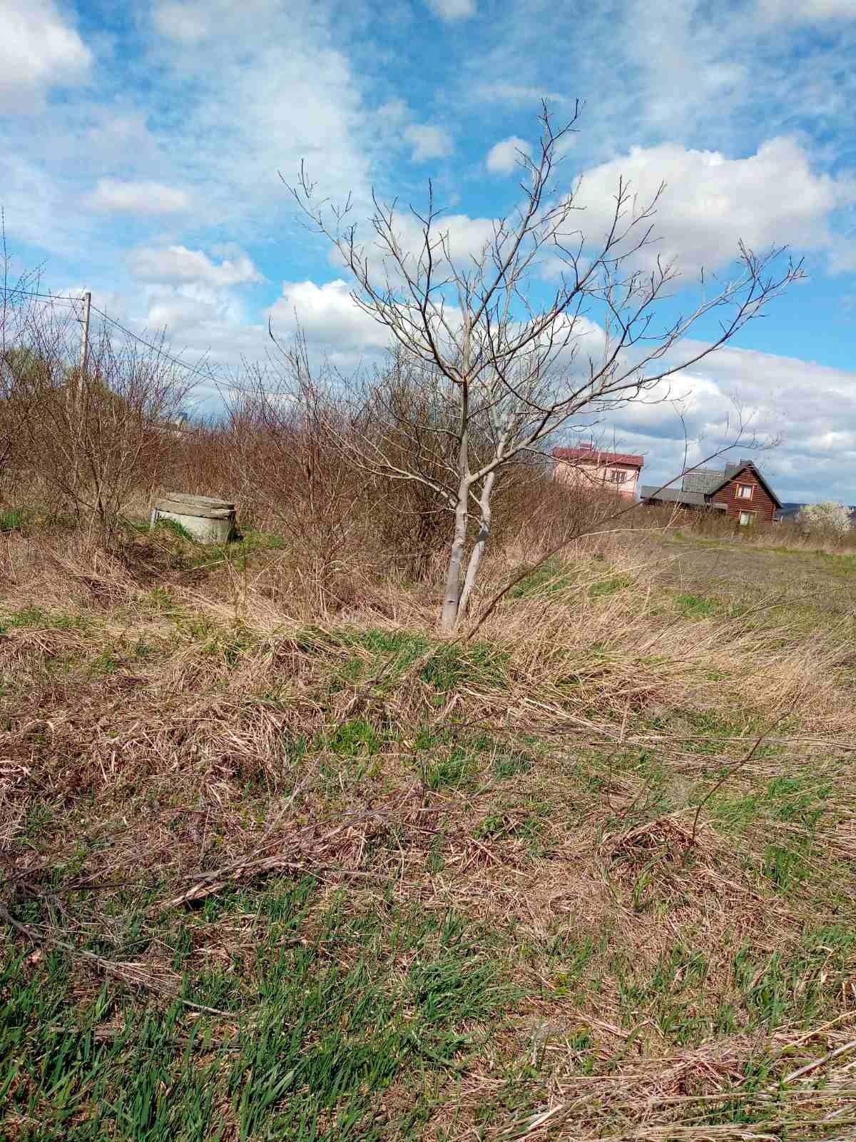 Продається земельна ділянка в с Клузів під забудову