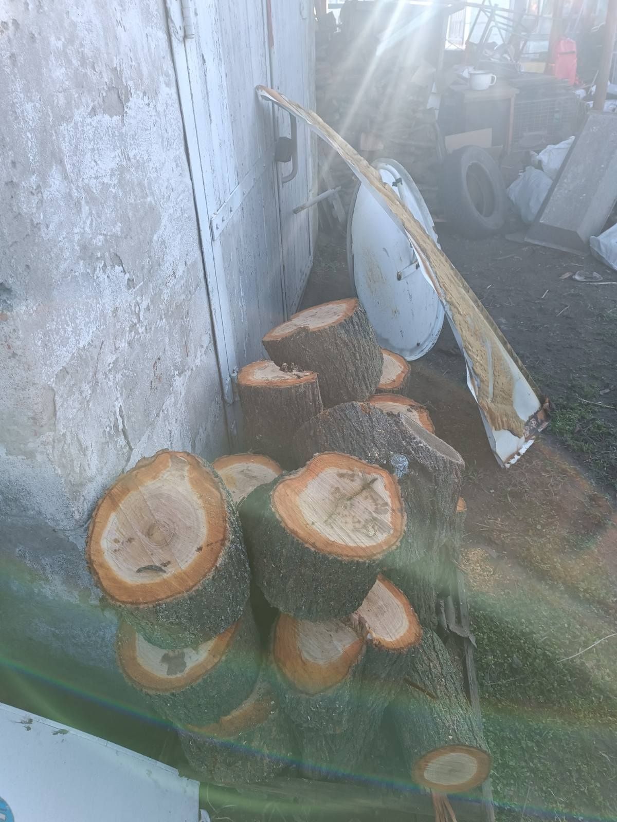 Продам деревину плодову
