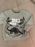 Bluza dino rozmiar 98