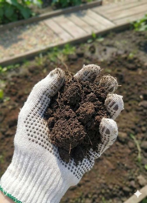 Диво-лопата / Город без болю та втоми / Чудо-лопата. Подарунок батькам