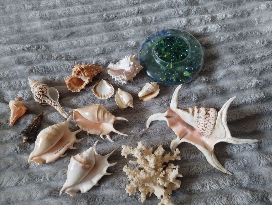 Морские,океанические ракушки ,коралл,стеклянные цветные шарики