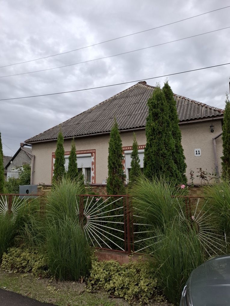 с. Боржава будинок 120 кв.м. Евроремонт