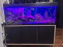 Akwarium 240l komplet