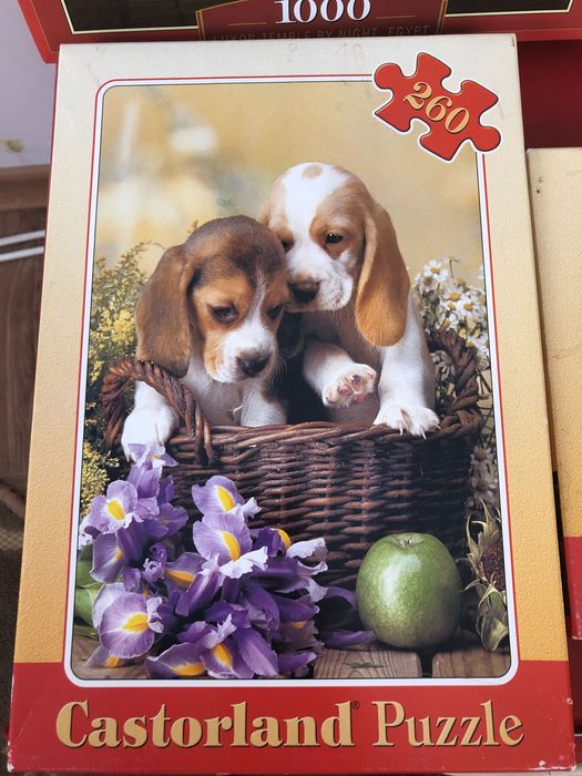 Пазли на  260 штук