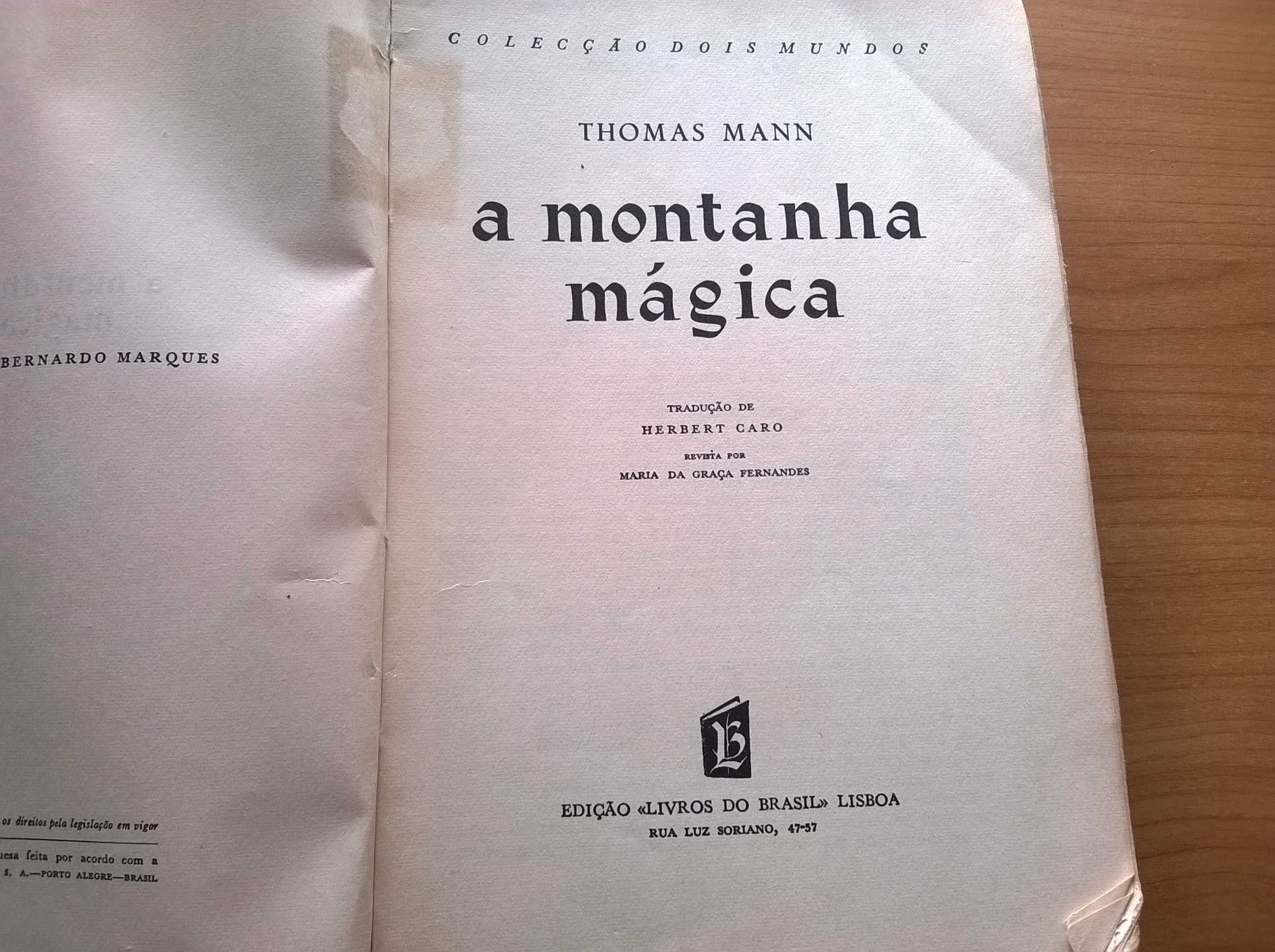 Montanha Mágica - Thomas Mann - Prémio Nobel (1929)