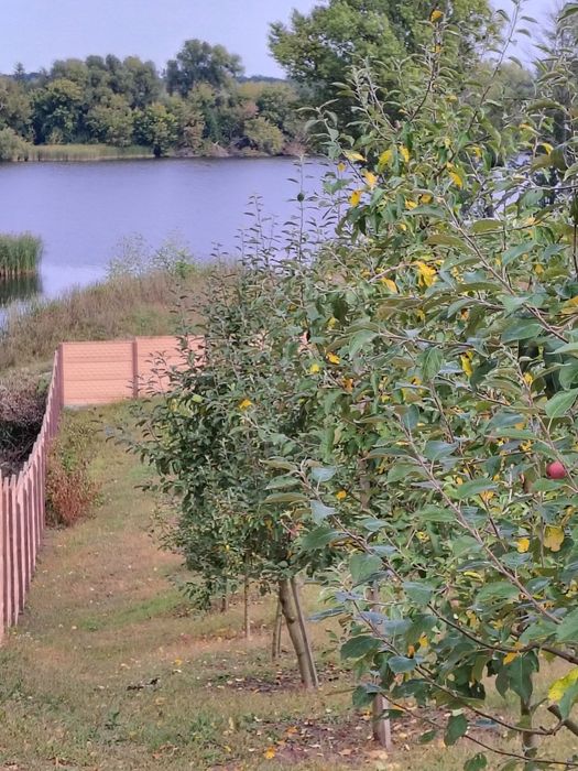 Продаж будинку в мальовничому місці.