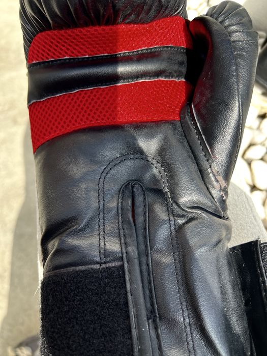 Luvas Boxe MMA Everlast