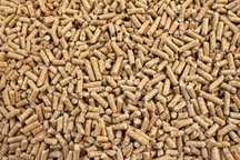 Pellet Drzewny EKOPAL 6mm 15kg