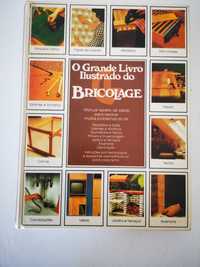 O Grande Livro Ilustrado do Bricolage - Circulo de Leitores