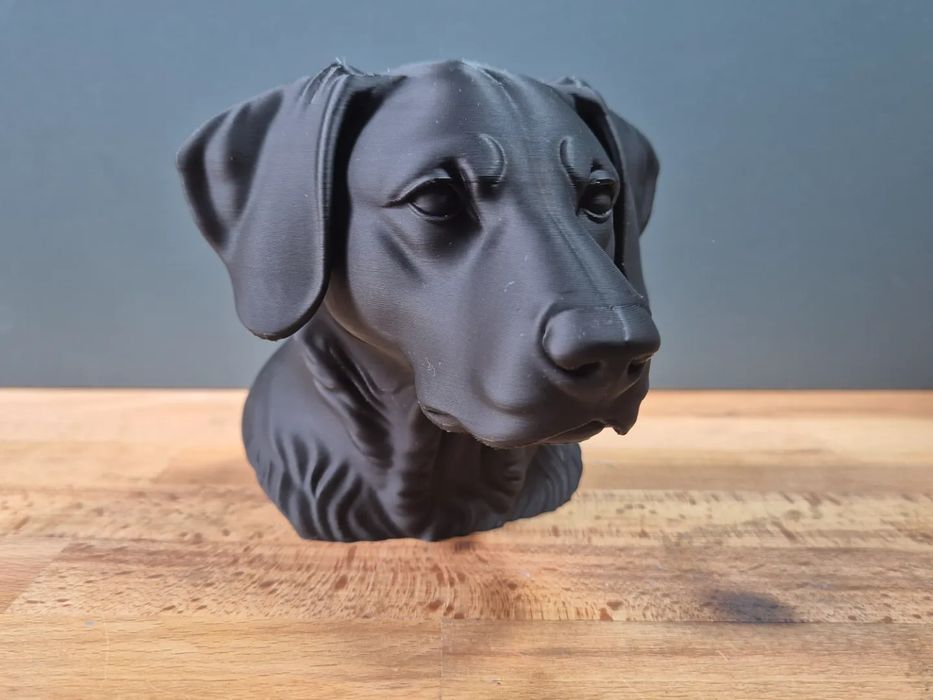 Busto de Cão Huntaway da Nova Zelândia