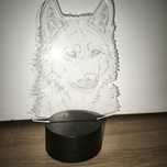 Luz de presença RGB Lobo
