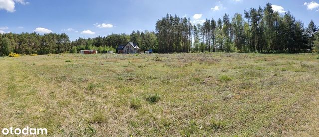 Działki budowlane w Myślniewie – 2 km od Zalewu