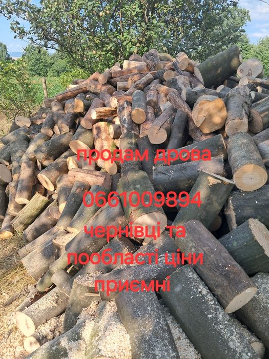 Дрова тверда порода