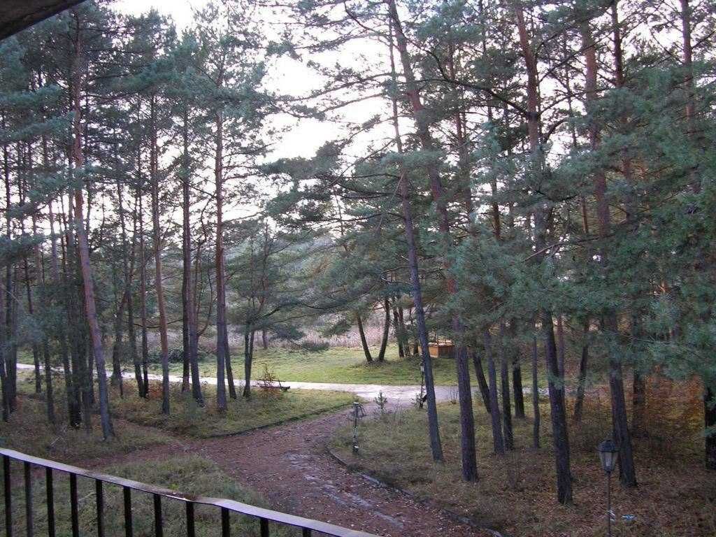 Продаж ділянки 7,0 га с. Івано- Франкове Без Комісії