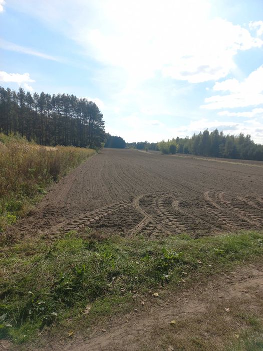 Działka Wrzosów Groszowice