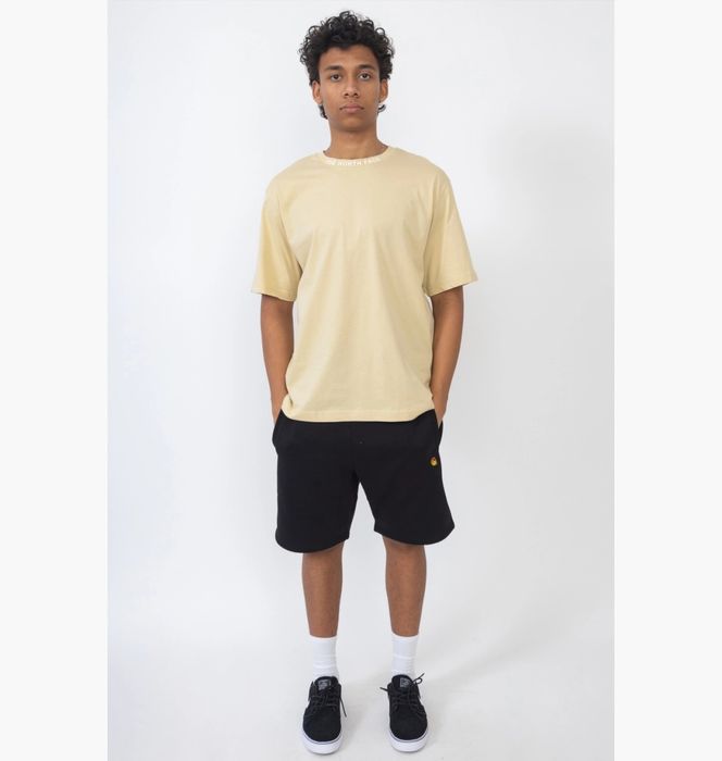 Футболка The North Face Zumut-Shirt Beige
