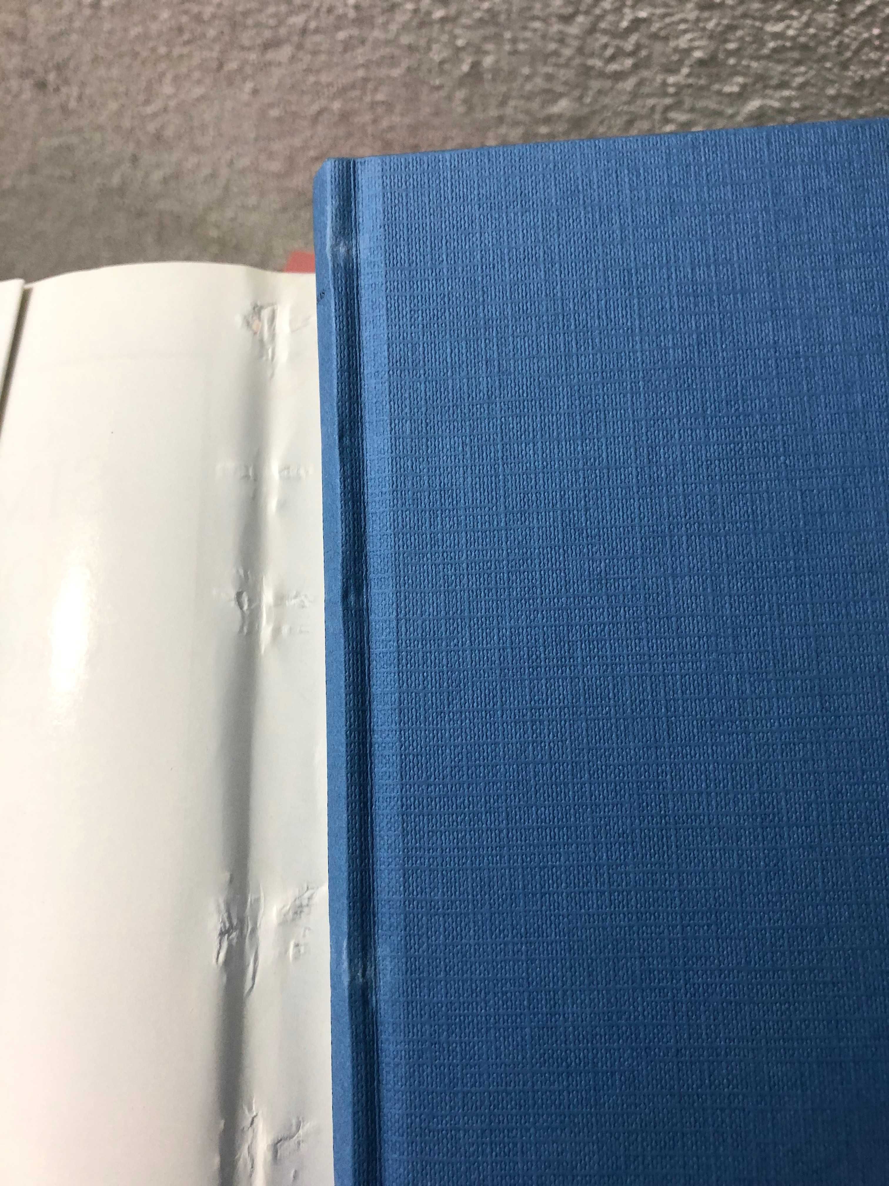 Livros Colecção Mil Folhas Público. Capa dura azul com capa de papel.