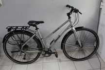 Rower trekkingowy DBS Allroad, Rama 17", Koła 28"Alu, Alivio.Tarcze