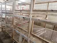 Продам клітки для утримання птиці та кролів з автоматичними поїлками.