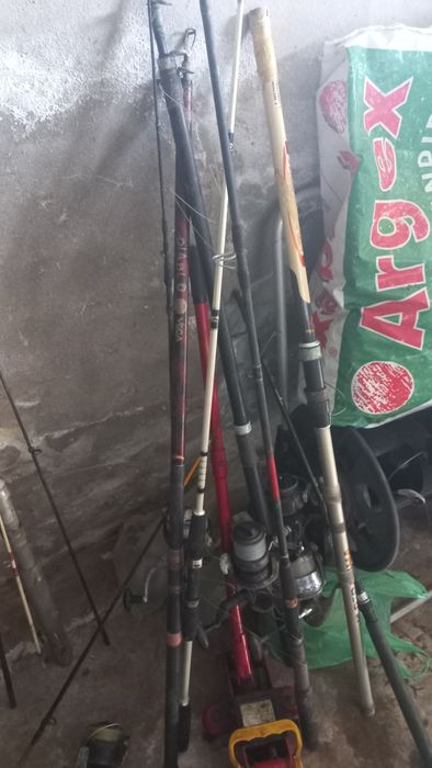 Várias canas de pesca e carretos