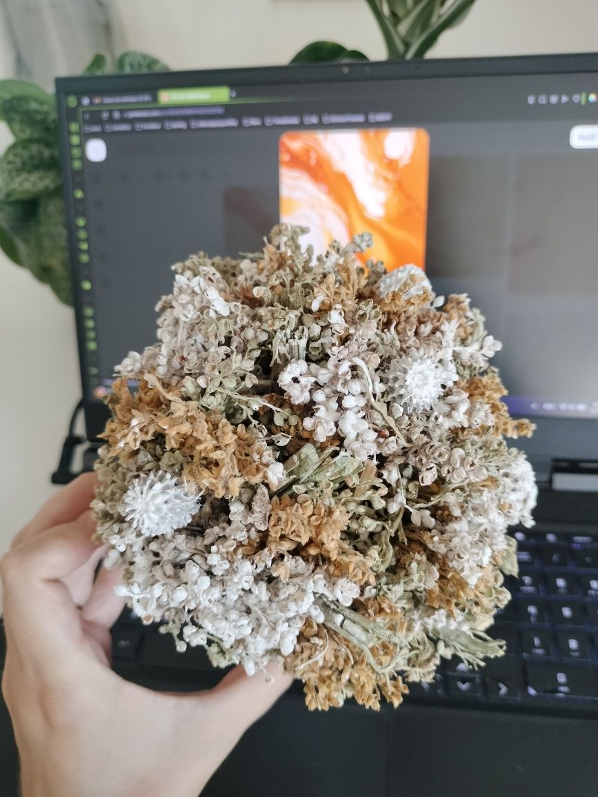 Declaração de flores secas num vaso branco