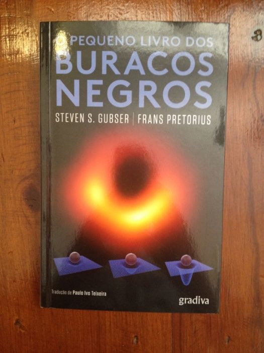 Steven S. Gubser e Frans Pretorius - O pequeno livro dos buracos negro