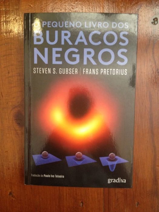 Steven S. Gubser e Frans Pretorius - O pequeno livro dos buracos negro