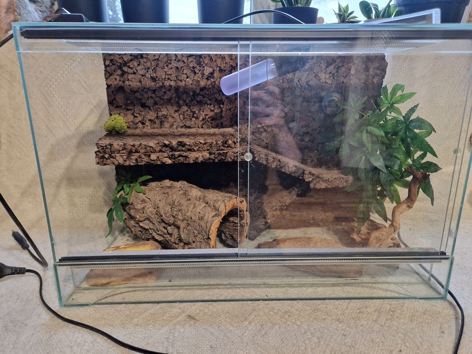 Terrarium 40x30x60cm