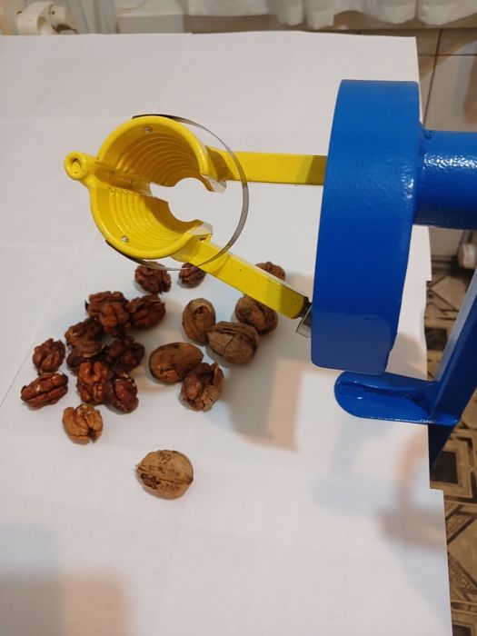 ГОРІХОКОЛ  бабочка сталь