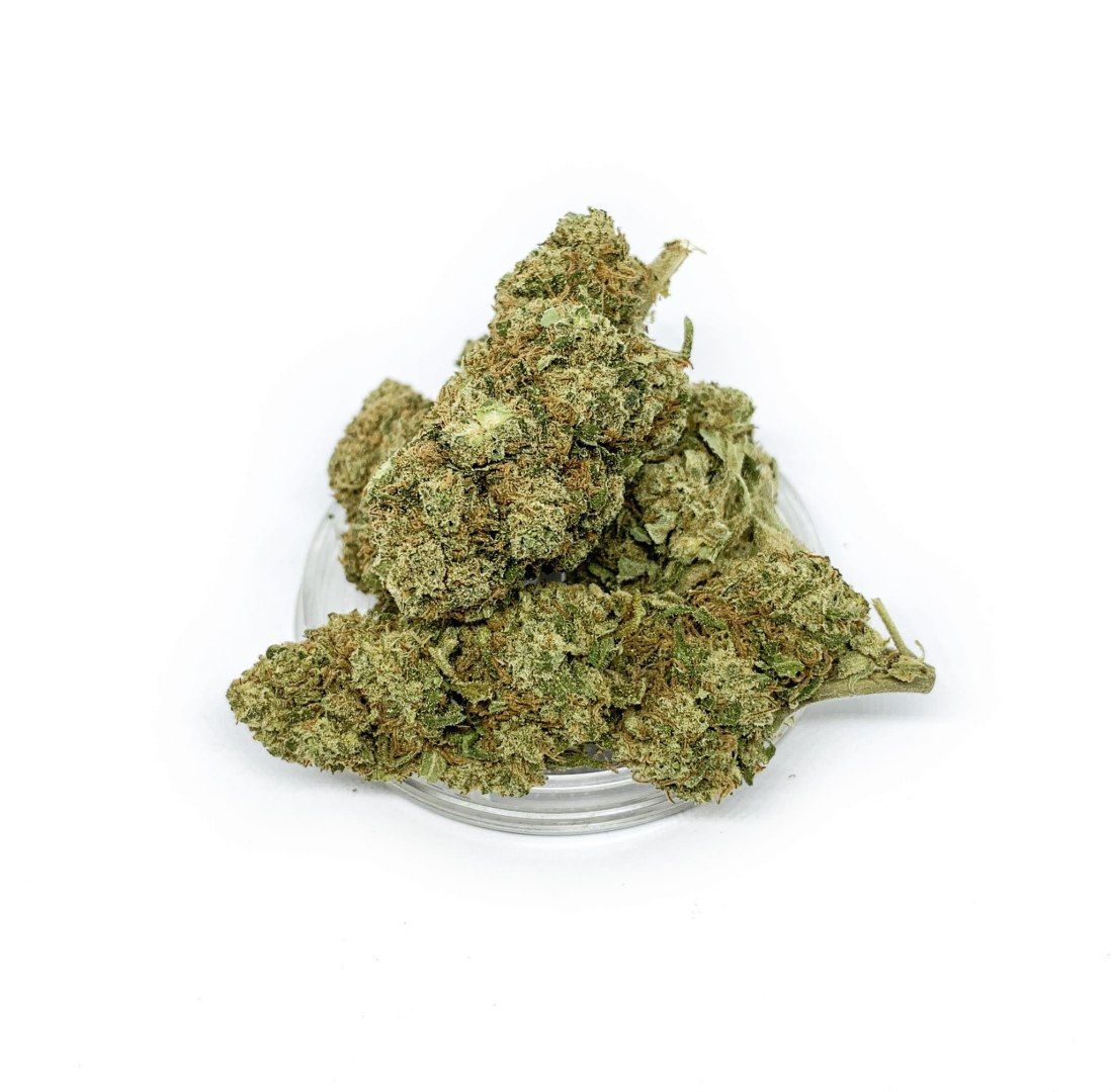 CBD Kwiaty Konopi "KOSHER KUSH" 1 g Kup z Olx!